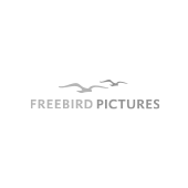 Freebird Pictures